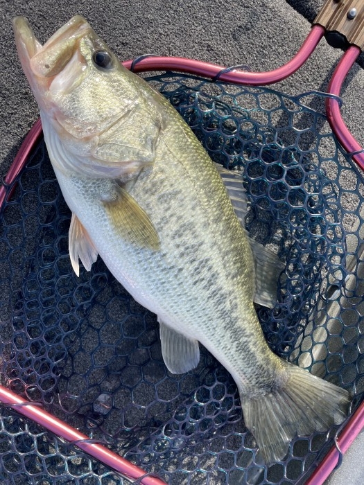 truth  ブログ写真 2021/10/27