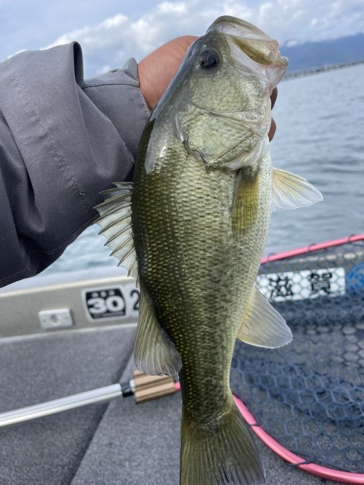 truth  ブログ写真 2021/10/27