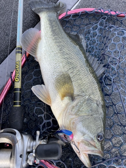 truth  ブログ写真 2021/10/27