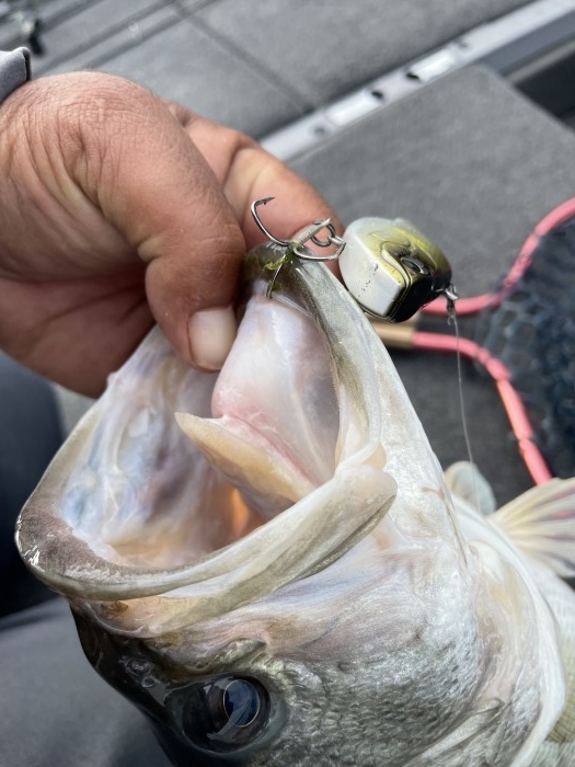 truth  ブログ写真 2021/10/27