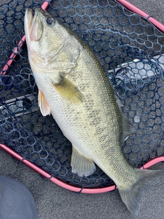 truth  ブログ写真 2021/11/03