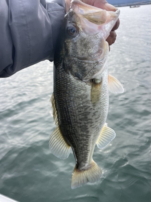 truth  ブログ写真 2021/11/06