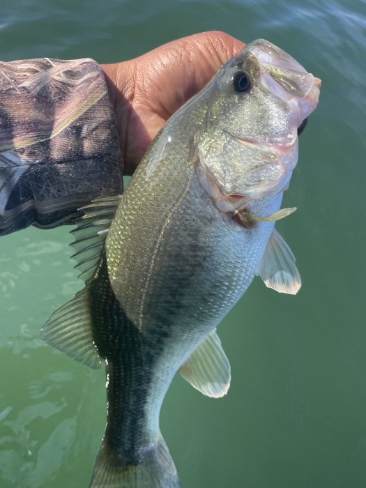 truth  ブログ写真 2021/11/07