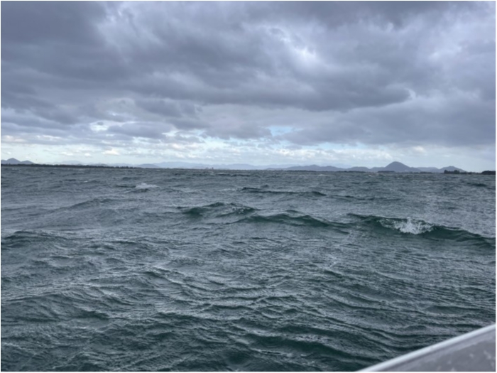 truth  ブログ写真 2021/11/08