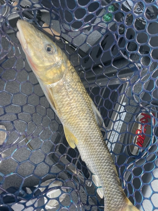 truth  ブログ写真 2021/11/14