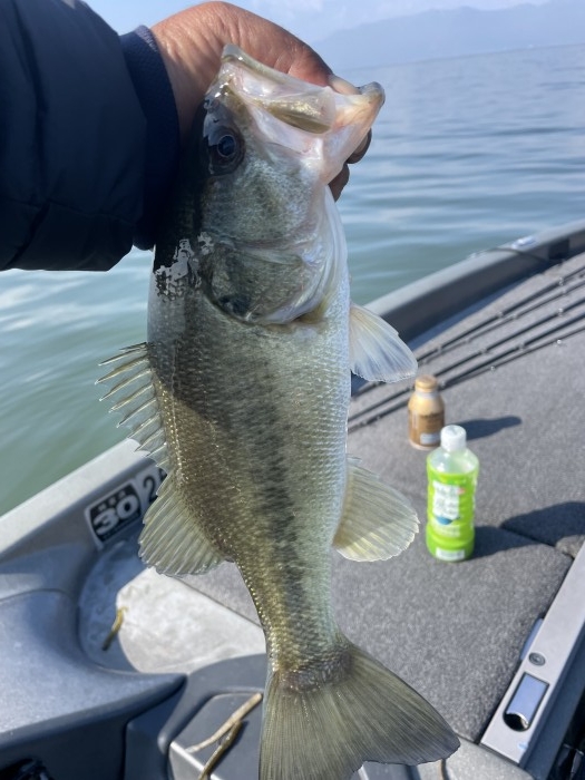 truth  ブログ写真 2021/11/15