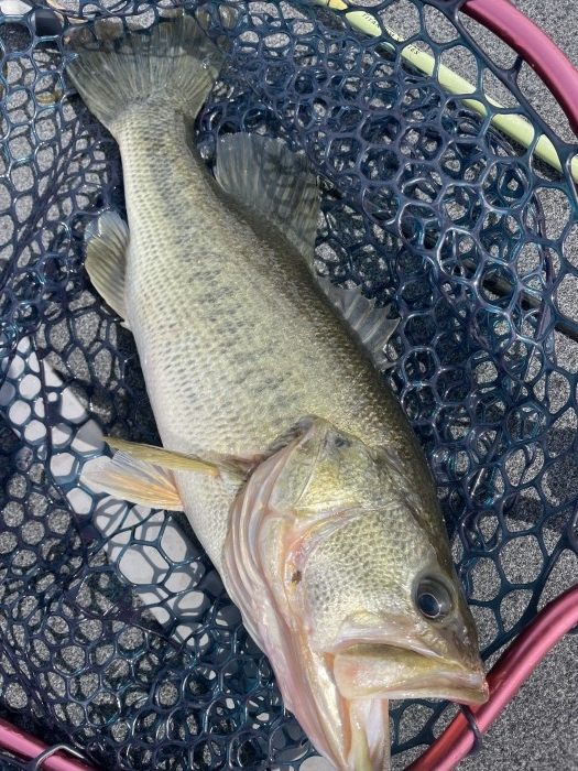 truth  ブログ写真 2022/03/10