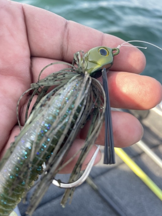 truth  ブログ写真 2022/03/11