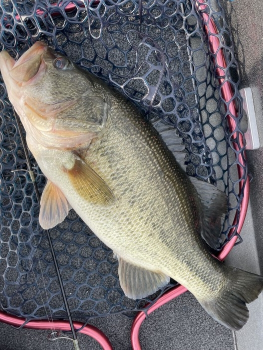 truth  ブログ写真 2022/03/12