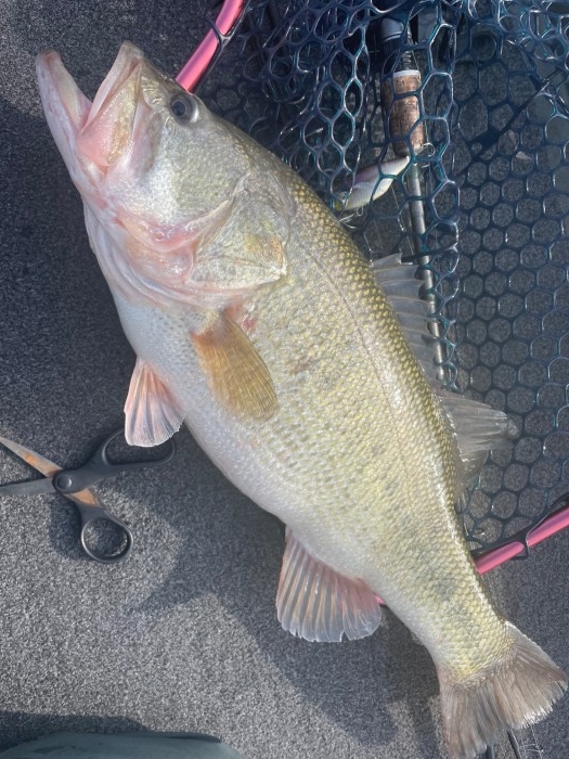 truth  ブログ写真 2022/03/17