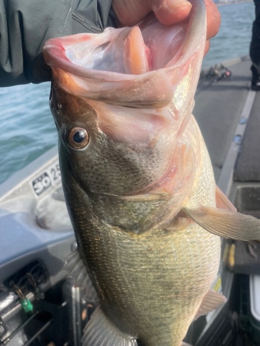 truth  ブログ写真 2022/03/17