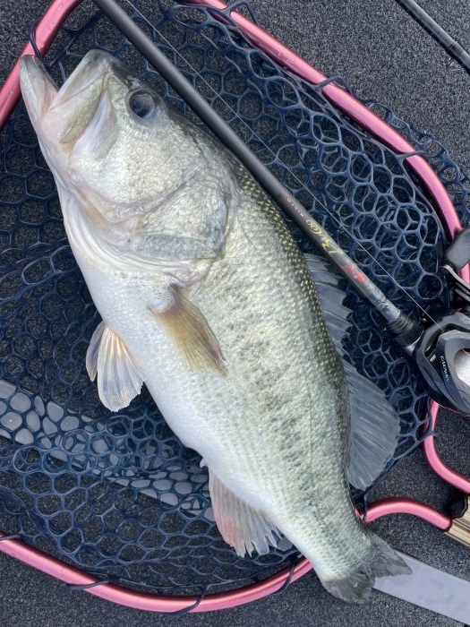 truth  ブログ写真 2022/04/25