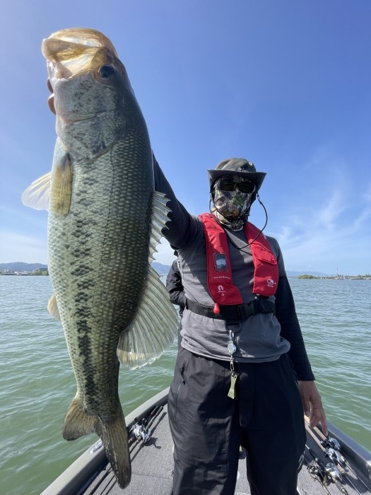 truth  ブログ写真 2022/04/25