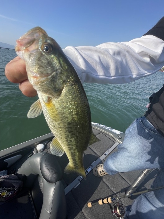 truth  ブログ写真 2022/06/02