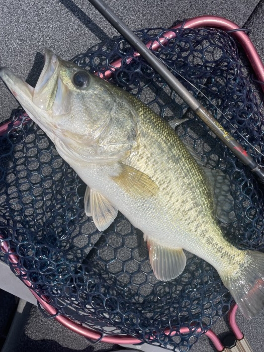 truth  ブログ写真 2022/06/03