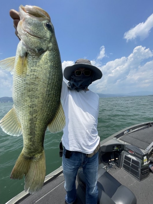 truth  ブログ写真 2022/06/03