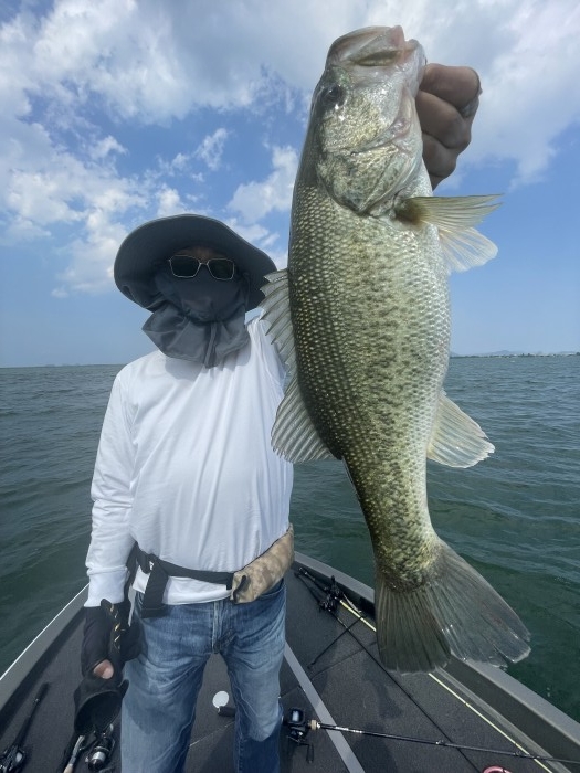 truth  ブログ写真 2022/06/03