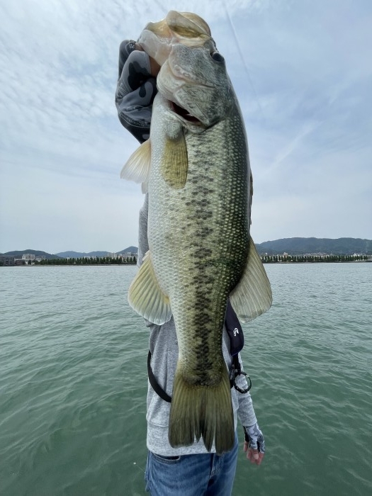 truth  ブログ写真 2022/06/05