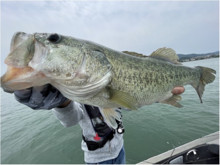 truth  ブログ写真 2022/06/05