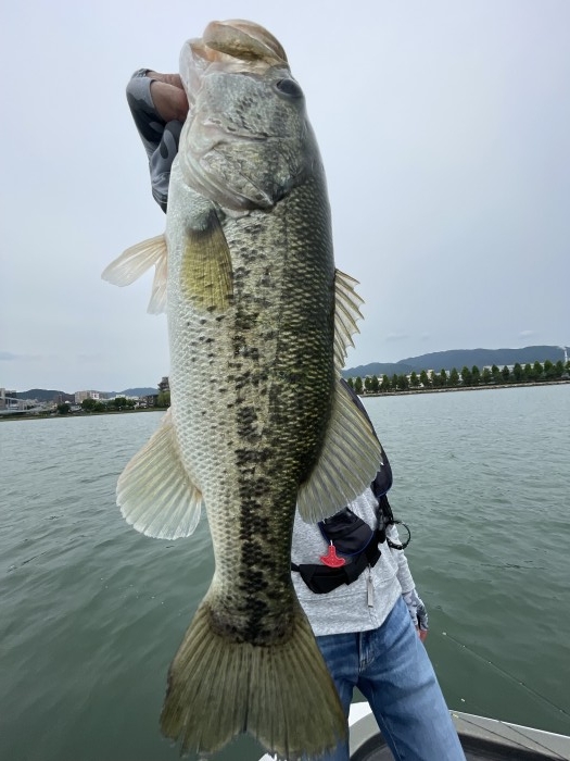 truth  ブログ写真 2022/06/05