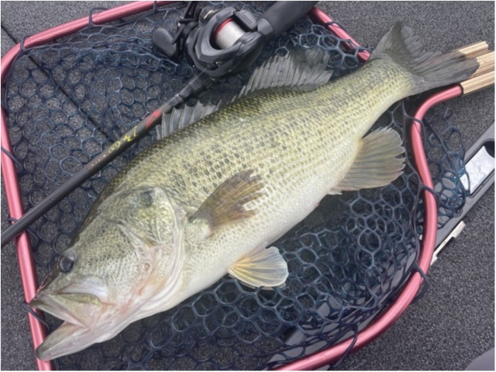 truth  ブログ写真 2022/06/05