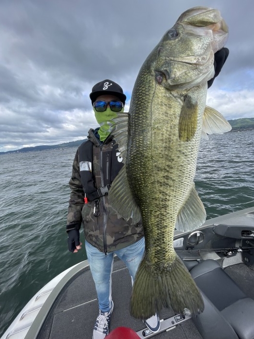 truth  ブログ写真 2022/06/07