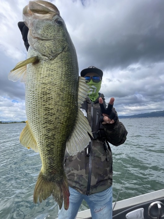 truth  ブログ写真 2022/06/07