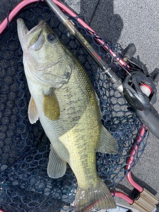 truth  ブログ写真 2022/06/07