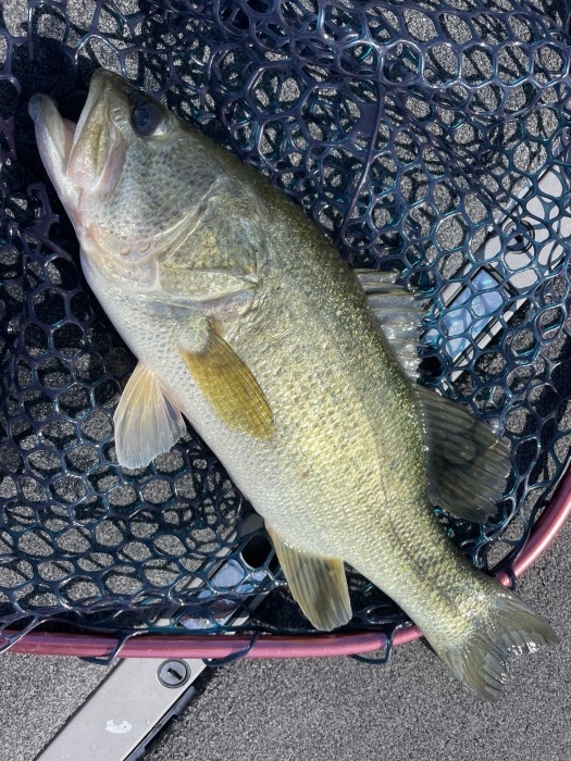 truth  ブログ写真 2022/06/09