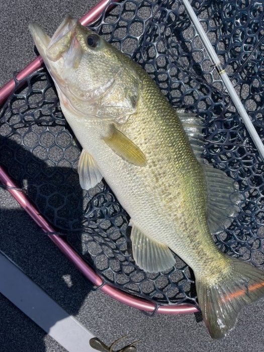 truth  ブログ写真 2022/06/09