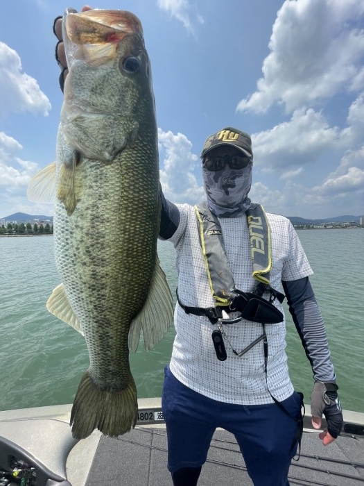 truth  ブログ写真 2022/06/10