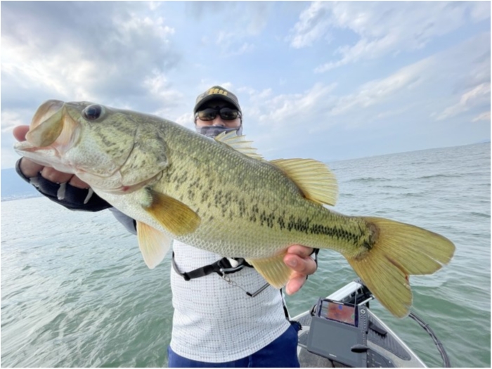 truth  ブログ写真 2022/06/10