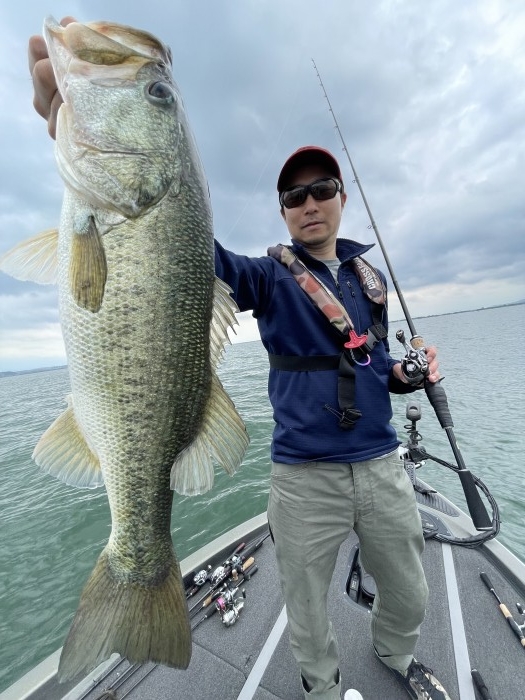 truth  ブログ写真 2022/06/11