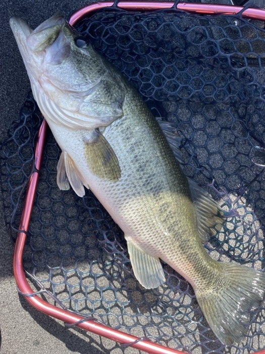 truth  ブログ写真 2022/06/12