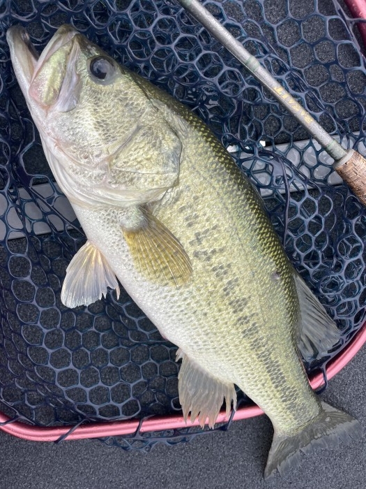 truth  ブログ写真 2022/06/14