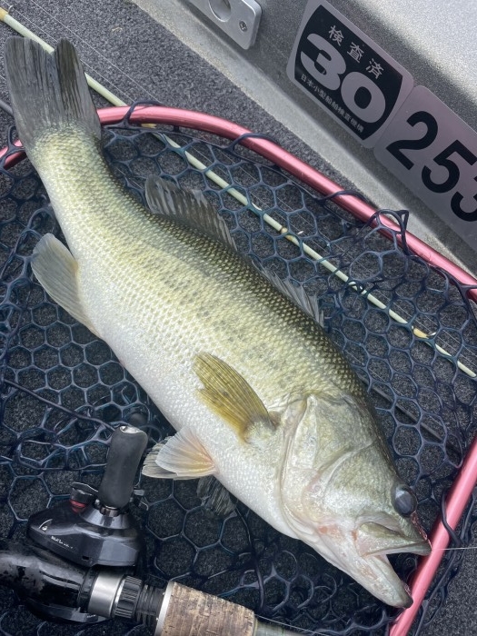 truth  ブログ写真 2022/06/14