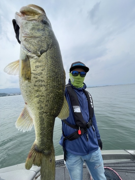 truth  ブログ写真 2022/06/16