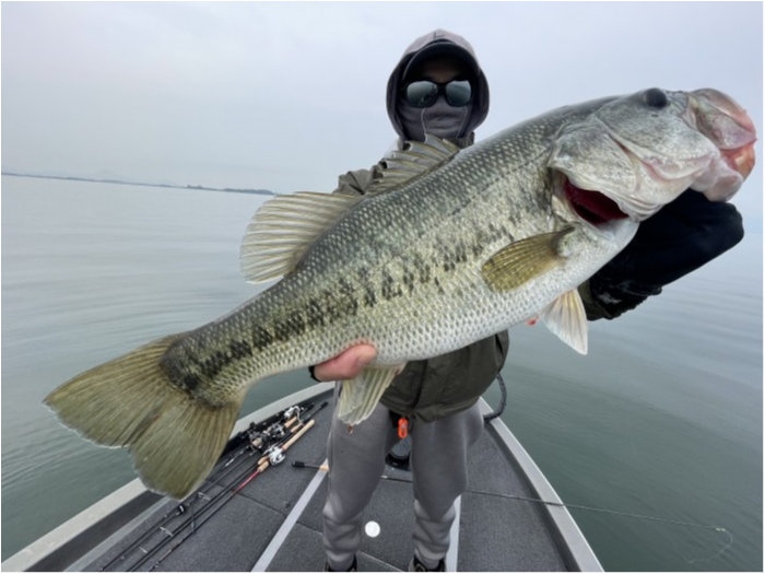 truth  ブログ写真 2022/06/17