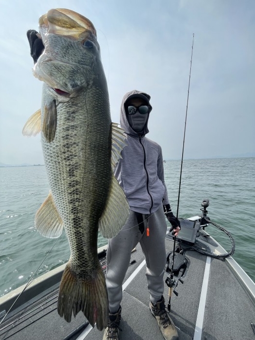 truth  ブログ写真 2022/06/17