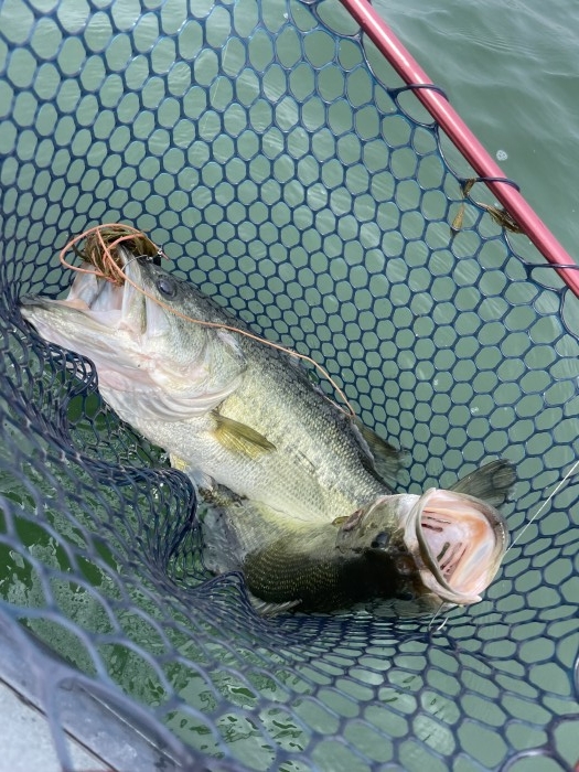 truth  ブログ写真 2022/06/20