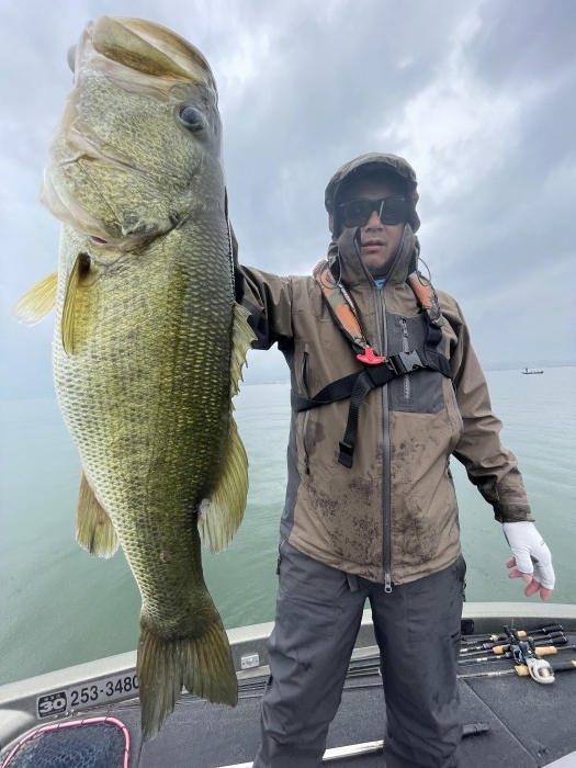 truth  ブログ写真 2022/06/21