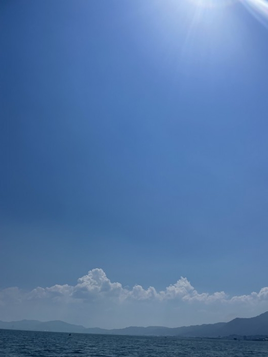 truth  ブログ写真 2022/07/02