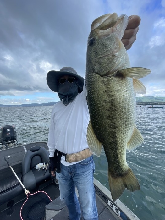 truth  ブログ写真 2022/07/24