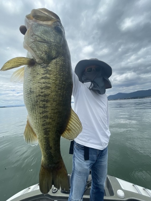 truth  ブログ写真 2022/07/24