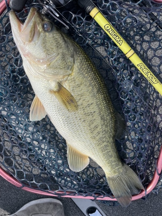 truth  ブログ写真 2022/08/10