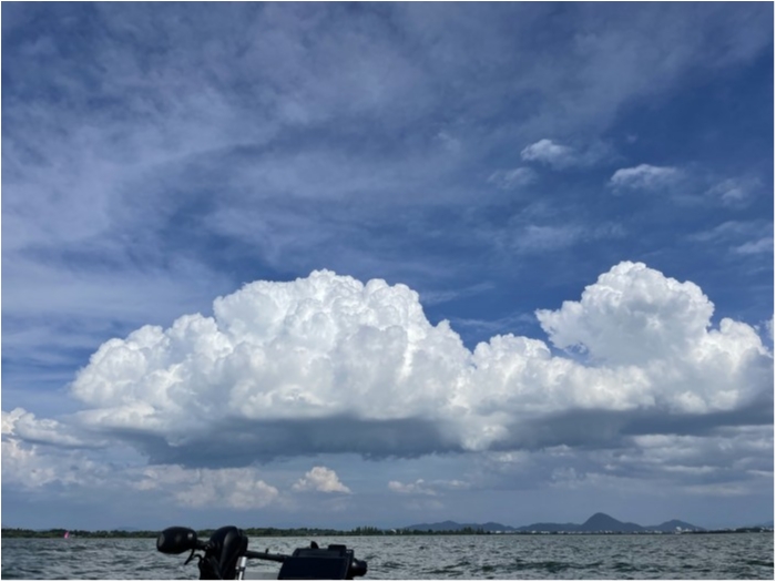 truth  ブログ写真 2022/08/10