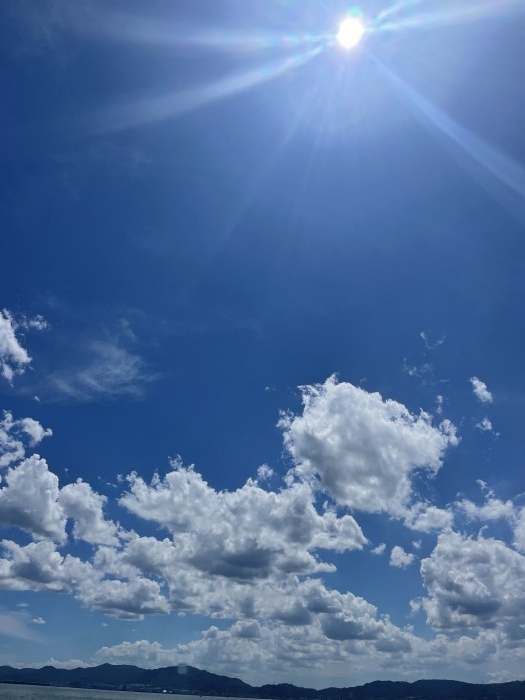 truth  ブログ写真 2022/08/11