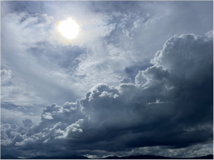 truth  ブログ写真 2022/08/12