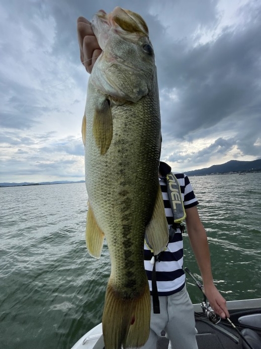 truth  ブログ写真 2022/08/13