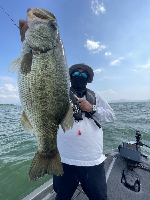 truth  ブログ写真 2022/08/15